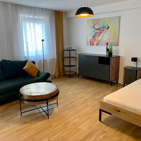 Air-Conditioned, Quiet Apartment With A Terrace In Center Of St Poelten - Smart Tv ザンクト・ペルテン エクステリア 写真